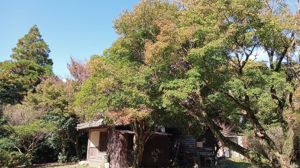 2023年10月29日時点