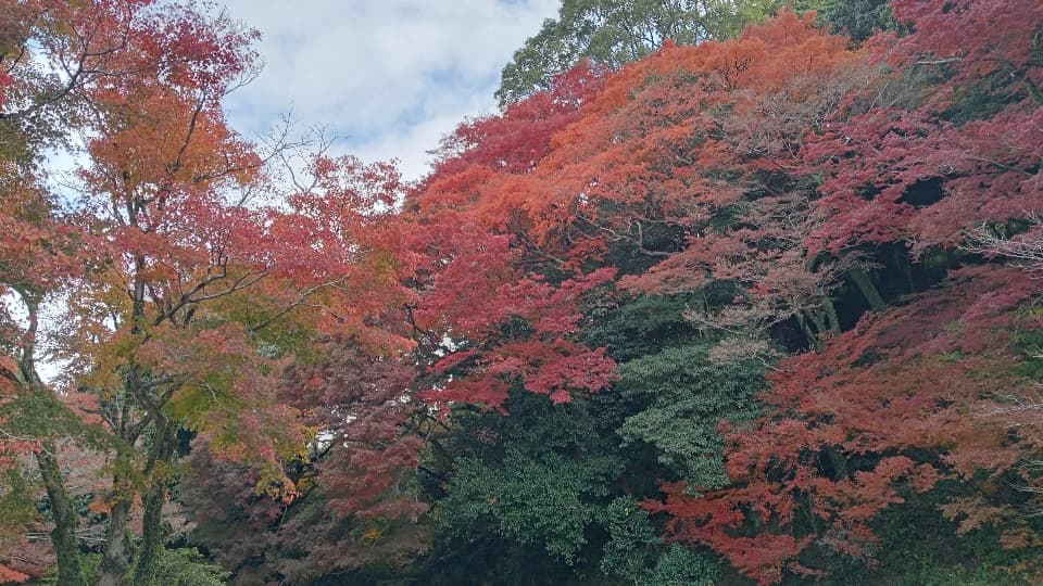 2023年11月25日時点