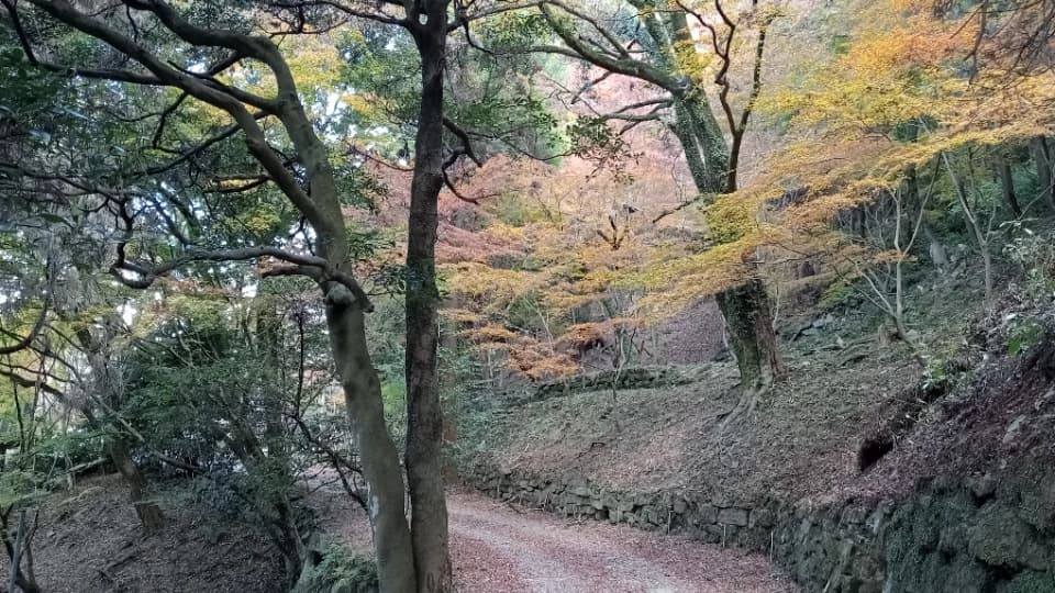 2023年12月2日時点